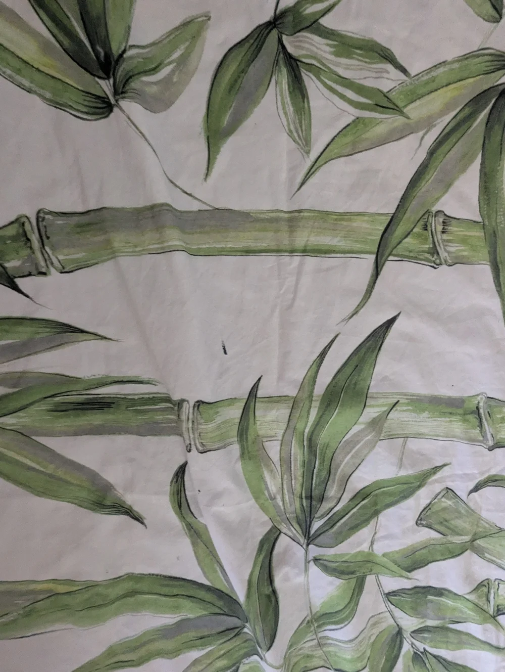 Pottery Barn White Green Bamboo Botanical Duvet Cover Full Queen Organic Cotton